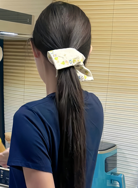 王玉雯同款花朵手工刺绣方巾发圈法式气质公主扎头高级感可爱头绳