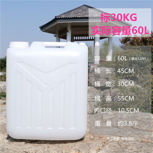 非标桶25升柴油桶10公斤60斤40L塑料桶食品级酒水桶30L油壶 - 图1