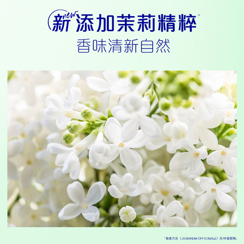飘柔滋润/去屑/柔顺洗发水露官方清爽芳香正品洗头膏600g小容量 - 图2