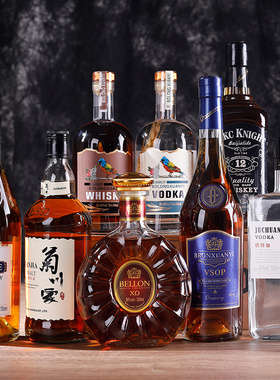 样板房间酒店酒柜XO洋酒道具模型