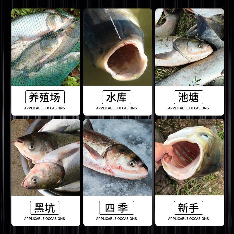 鲢鳙小药开口剂新型浮钓鱼大头鱼花白鲢鱼饵料专用诱鱼剂野钓链镛,淘宝优惠券,粉丝福利购,淘宝优惠卷