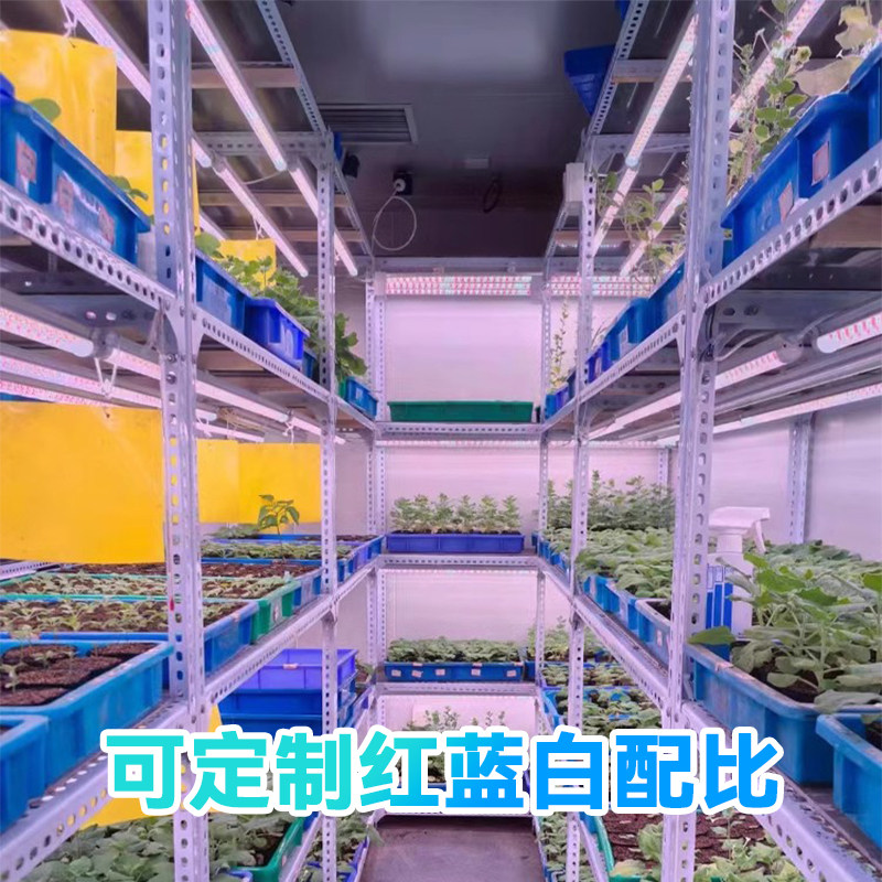贵翔 红蓝光植物生长灯LED灯管补光灯蔬菜育苗组培实验植物工厂,淘宝优惠券,粉丝福利购,淘宝优惠卷