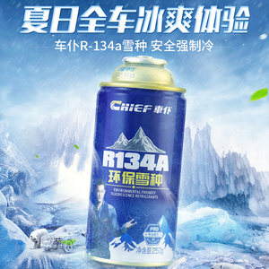 车仆空调氟利昂汽车空调雪种R134A环保雪种车载冷剂汽车通用