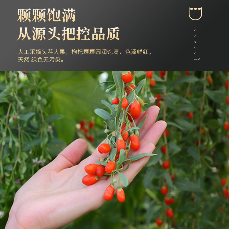 枸杞子搭菊花茶【黄金搭档】枸杞正品500g枸杞泡茶男大颗粒枸杞