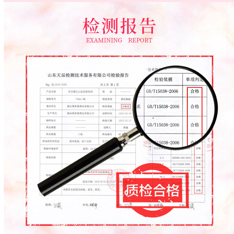 网红v款透明女士气泡酒水果味甜 誉佳顺酒类起泡及香槟葡萄酒