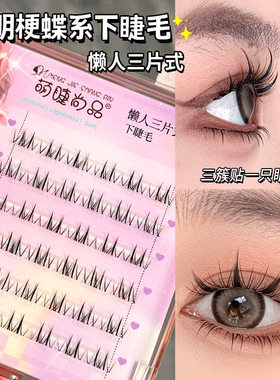 NoGluedLashEyxtensiFr