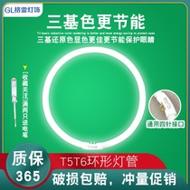 Ring light tube round four-pin energy-saving lamp t5t6 tricolour fluorescent lamp 22w32w40w55W suction light