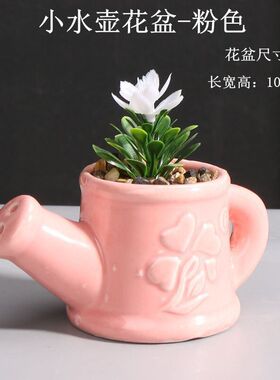 跨境电商创意小水壶陶瓷多肉花盆