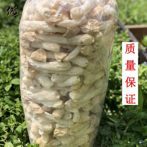 竹荪 野生 特级竹荪菇蕾竹笙竹菌竹参蘑菇菌干货500g纯天然无硫熏 - 图1