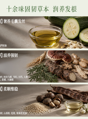 【婷二推荐】后辰固韧洗发水草本萃取蓬松头发修护发质控油防断发