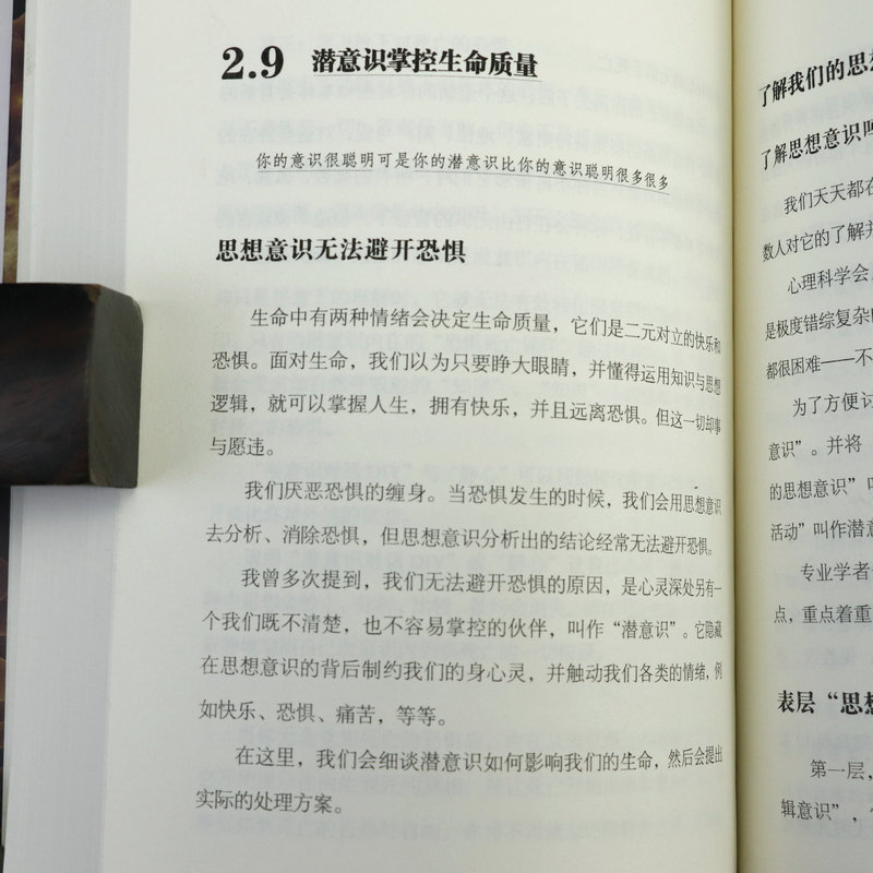 【3折包邮】与潜意识对话 催眠导师刘心阳潜意识境界身心灵修行激发内在能量再塑内在自我情绪词典 心理学书籍 - 图2