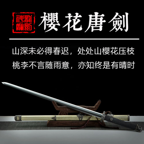 龙泉神龙刀剑樱花唐剑纯铜手工研磨宝剑唐横刀一体长冷兵器未开刃 - 图0
