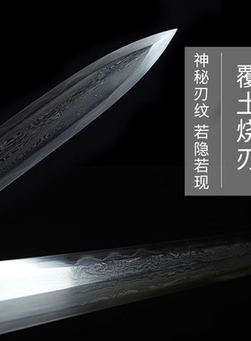 神龙宝剑一体汉剑折叠锻打