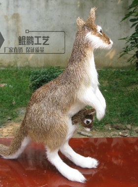 儿童仿真动物园模型澳大利亚摆件