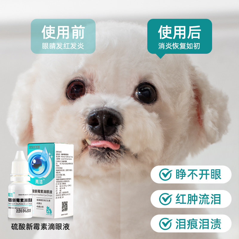 猫咪眼药水宠物眼睛红肿流泪狗狗比熊博美洗眼液抑菌消炎用滴眼液