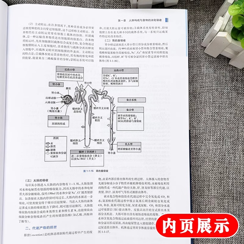 现货中国营养科学全书上下册第2二版 养与疾病临床预防医学参考书可搭健康管理师食物成分表营养师教材中国居民膳食指南人卫 - 图2