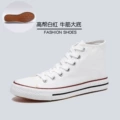 Tendon Sole-High Top White