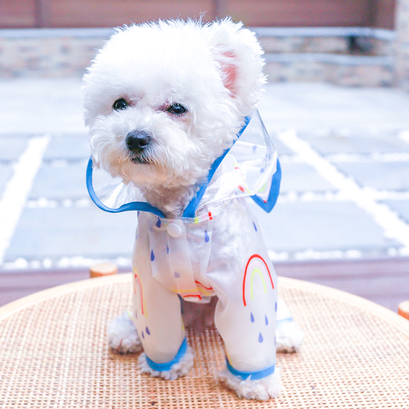 狗狗雨衣宠物雨天夏天泰迪四脚神器专用防水雨披小型犬夏季狗雨衣 - 图0