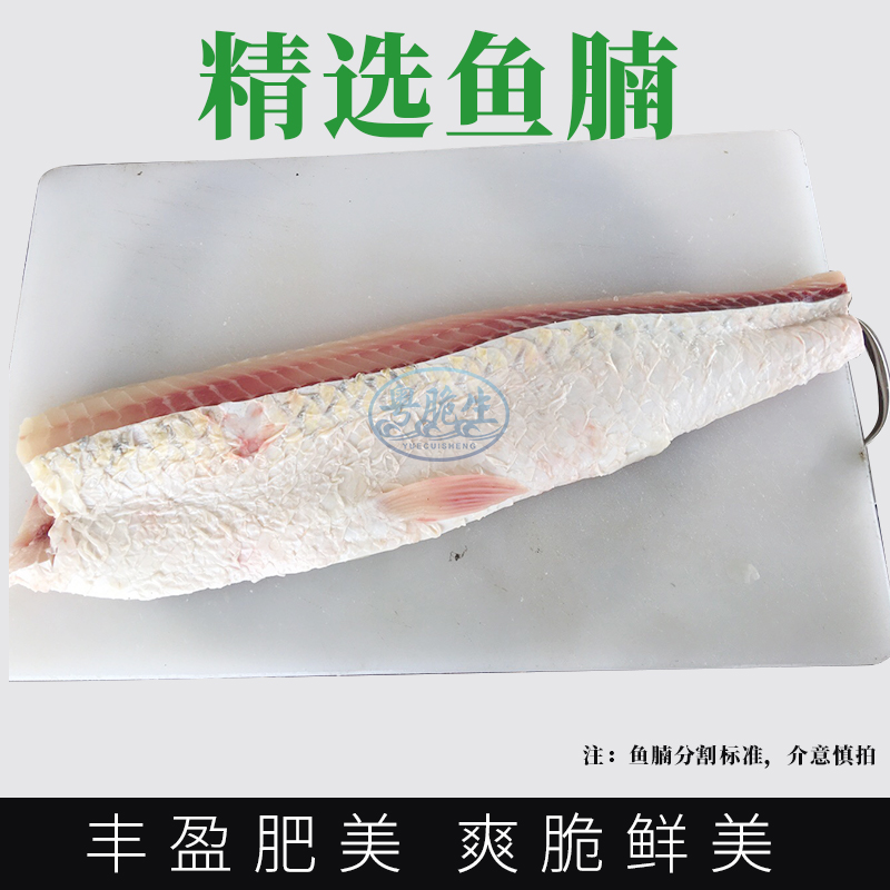 正宗中山东升脆肉鲩鱼草鱼脆皖鱼鱼腩片新鲜冷冻水产生鲜脆皖鱼 - 图1