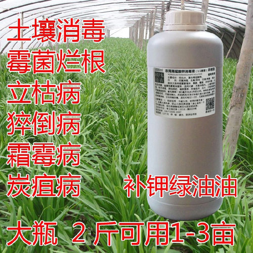 农用高锰酸钾溶液大棚种植土壤消毒青枯立枯萎根腐重茬烟苗韭芹菜-图0