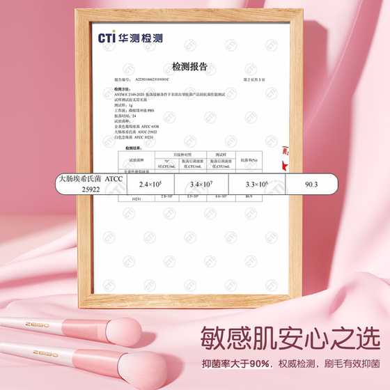 Makeup brush set recommended for beginners