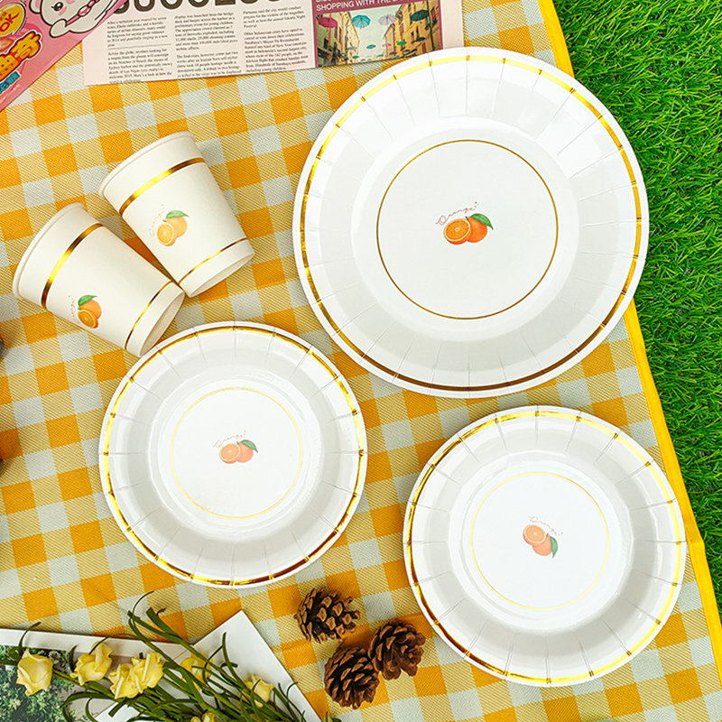 野餐盘一次性餐盘儿童生日派对春游户外网红野餐餐具蛋糕盘子纸盘,淘宝优惠券,粉丝福利购,淘宝优惠卷