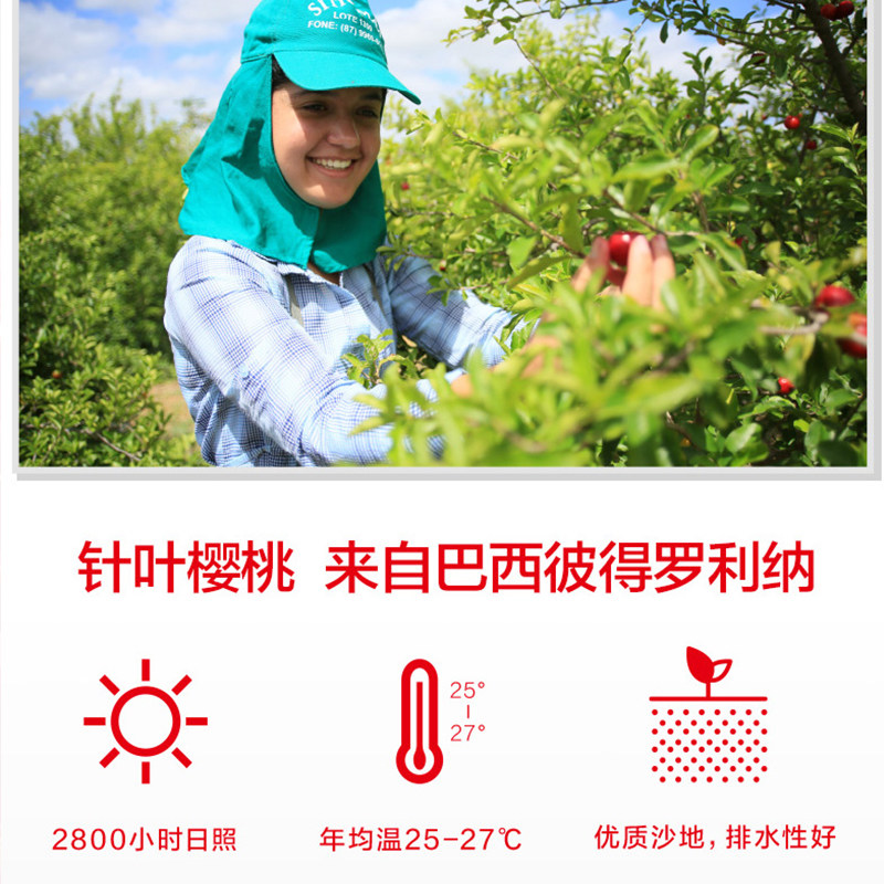  上海第一医药大药房维生素/复合维生素