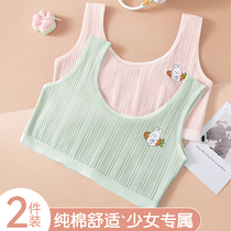 Girl Lingerie Hair Nursery School Of Pure Cotton Rags Adolescent Girls Early School Pupils Adolescent Girl Children Little Vests