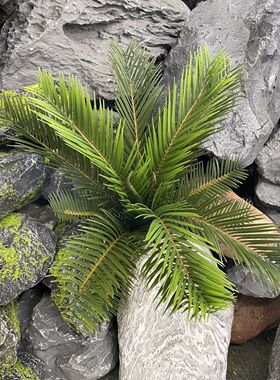 仿真绿植散尾葵苏铁棕榈葵椰子仿生花盆栽室内植物造景花艺摆设