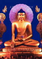 The knot The Sakyamuni Buddha portrait photographic paper plastic-plastic Buddha painted Buddhas 25-year-old like a custom circulation