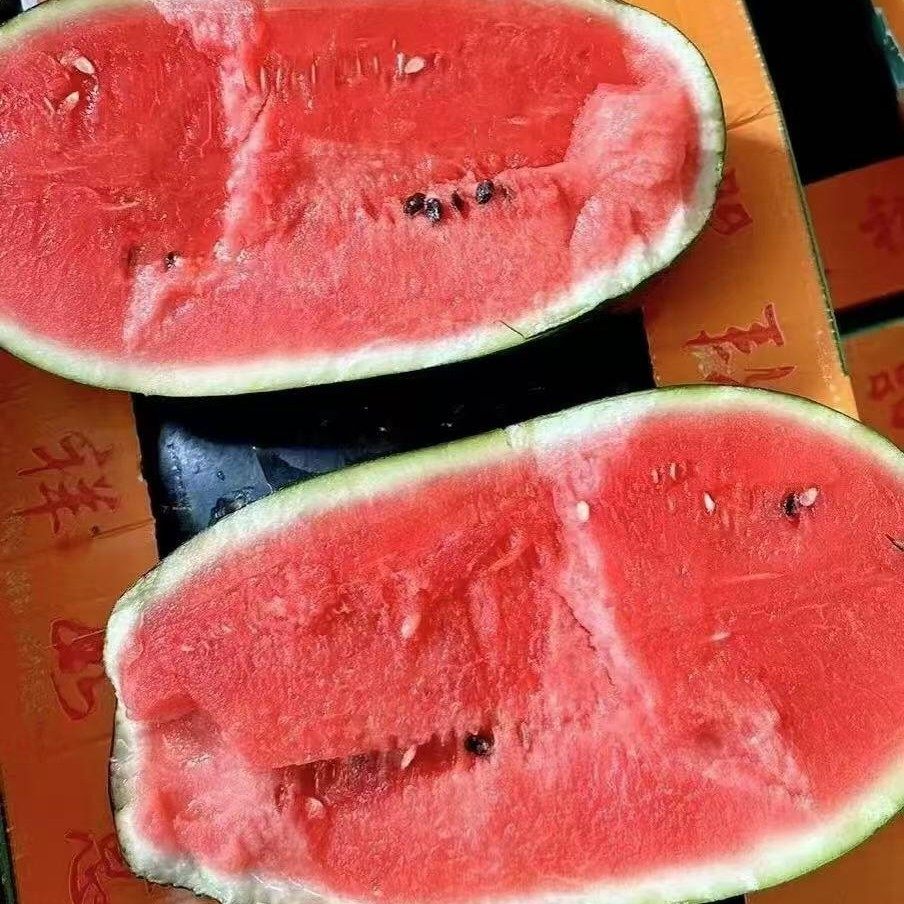 应季水果应季西瓜黑美人西瓜3-9斤新鲜发货南宁仓,淘宝优惠券,粉丝福利购,淘宝优惠卷
