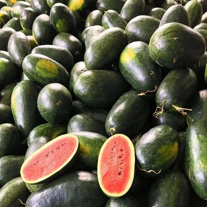 应季水果应季西瓜黑美人西瓜3-9斤新鲜发货南宁仓,淘宝优惠券,粉丝福利购,淘宝优惠卷