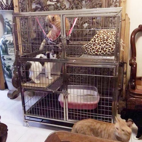 不锈钢猫笼双层三层猫笼子组合家用室内猫别墅大号猫笼子猫咪围栏 - 图2