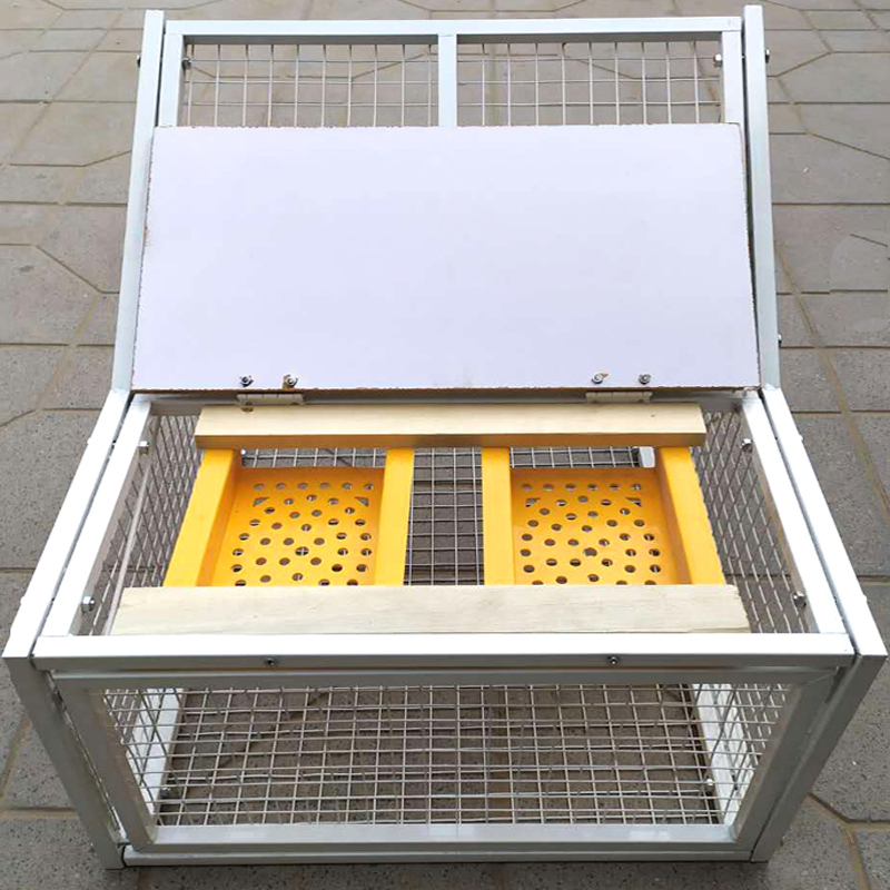 鸽子跳笼鸽子用品用具信鸽赛鸽踏板撞门草窝跳笼鸽舍进口放飞跳笼 - 图1