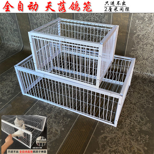 信鸽天落笼加密只进不出鸽子笼户外鸽子笼全自动收鸽笼鸟笼包邮 - 图0