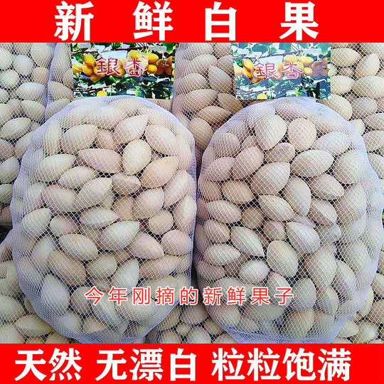 2025年新鲜白果银杏果1-5斤装包邮无漂白生百果大佛指带壳银杏仁