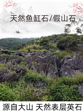 天然鱼缸石造景水陆缸青龙石