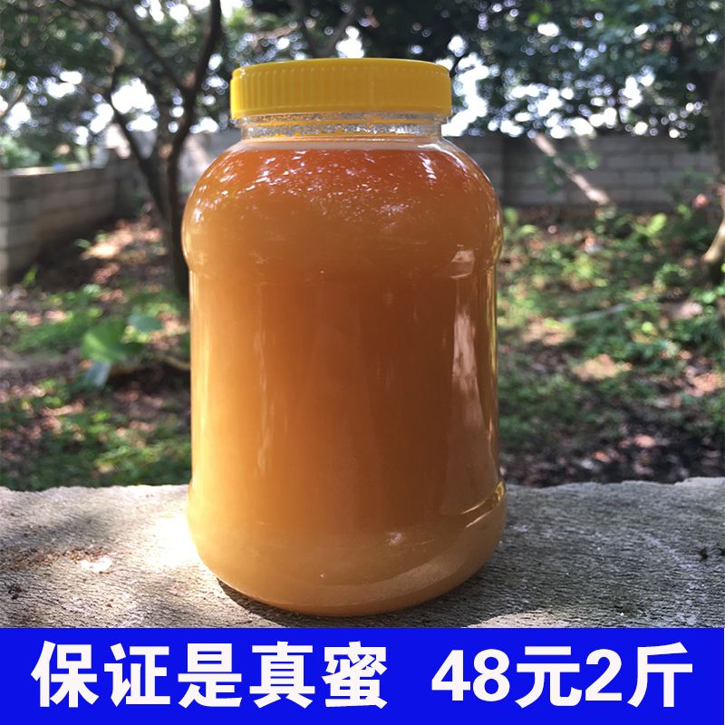 纯正天然土蜂蜜无添加野生桂花蜜正宗农家自产百花结晶木桶峰蜜 - 图0