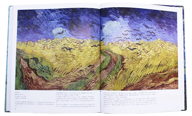 梵高画册原版大开本高清临摹中文版作品集 Vangogh画集至爱梵高星空花园水彩油画凡高艺术绘画装饰素描本美术生专用港版艺术图书籍 - 图2