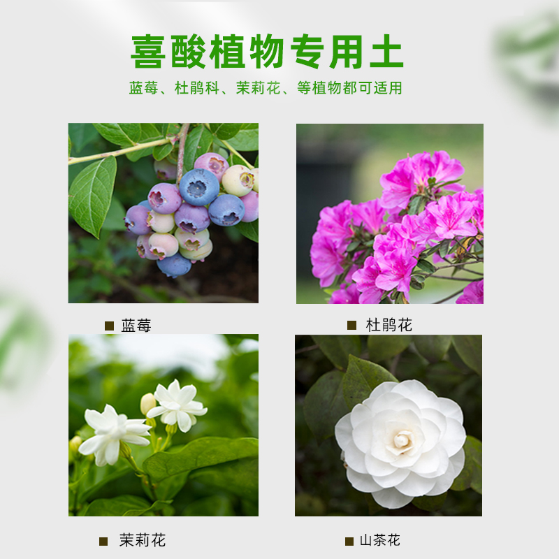 德国K牌933进口泥炭土种植君子兰茉莉喜酸植物蓝莓杜鹃酸性营养土 - 图2