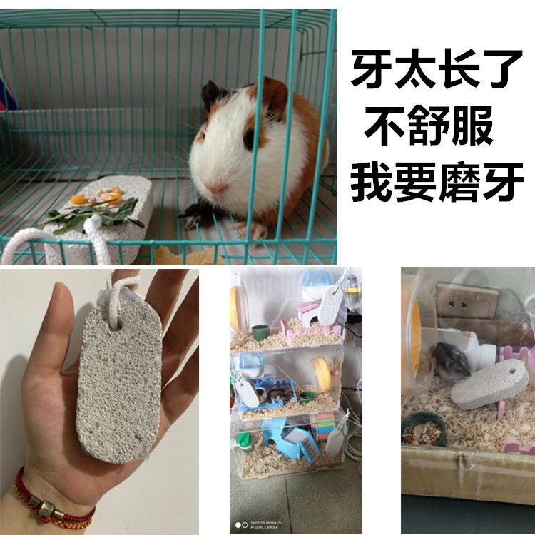 小仓鼠磨牙棒 营养宠物磨牙棒 可食用专用兔子金丝熊零食补钙用品,淘宝优惠券,粉丝福利购,淘宝优惠卷