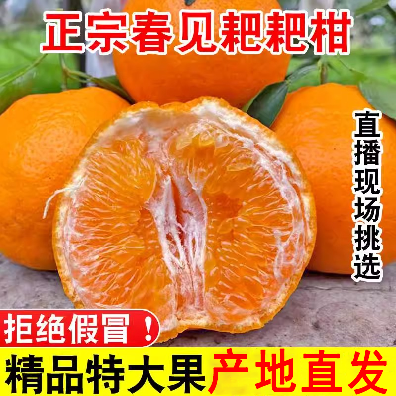 正宗四川春见耙耙柑很甜粑粑柑9斤橘子甜当季整箱新鲜水果丑柑桔,淘宝优惠券,粉丝福利购,淘宝优惠卷