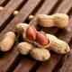 Childhood Original Peanut Big Packet with Shell as Appetizer