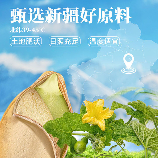 童年记南瓜子原味熟南瓜籽新货独立包装追剧零食休闲小吃炒货