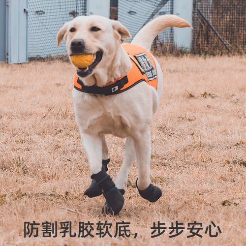 狗狗鞋子运动户外防水夏季鞋子防掉防滑泰迪金毛鞋袜脚套加入户外 - 图1