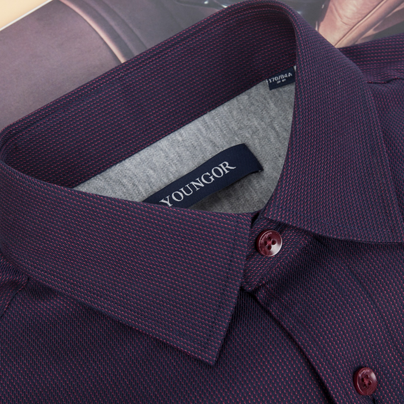 雅戈尔保暖衬衫男加绒加厚中年男士暗紫色条纹内胆宽松秋冬季衬衣
