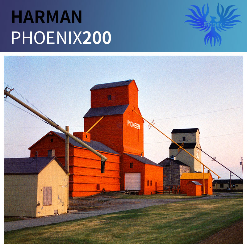 英国伊尔福哈曼Phoenix 200红蓝凤凰135彩色胶卷负片36张原装正品 - 图1
