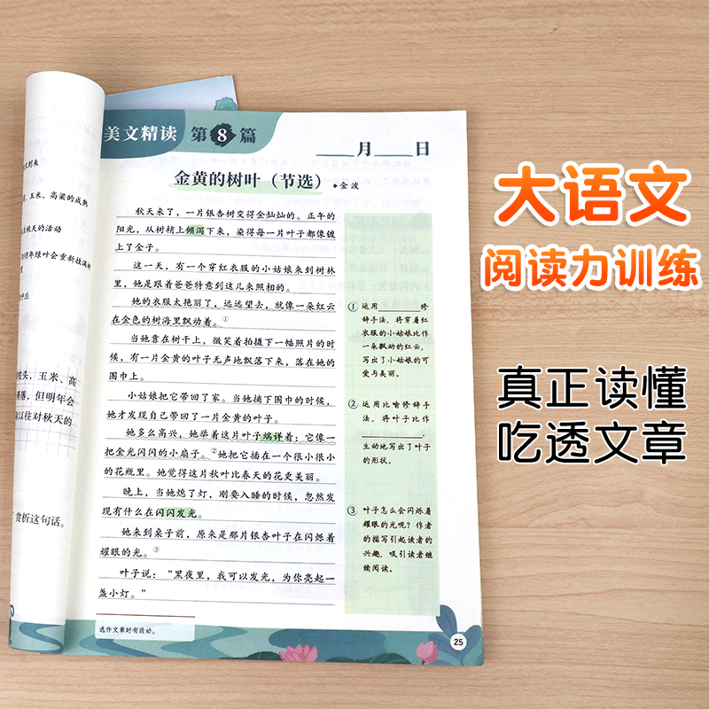 斗半匠大语文精读阅读力训练一二年级三四五六年级晨读美文语文阅读理解强化练习册答题解题技巧专项训练语文阅读理解专项训练书籍-图2