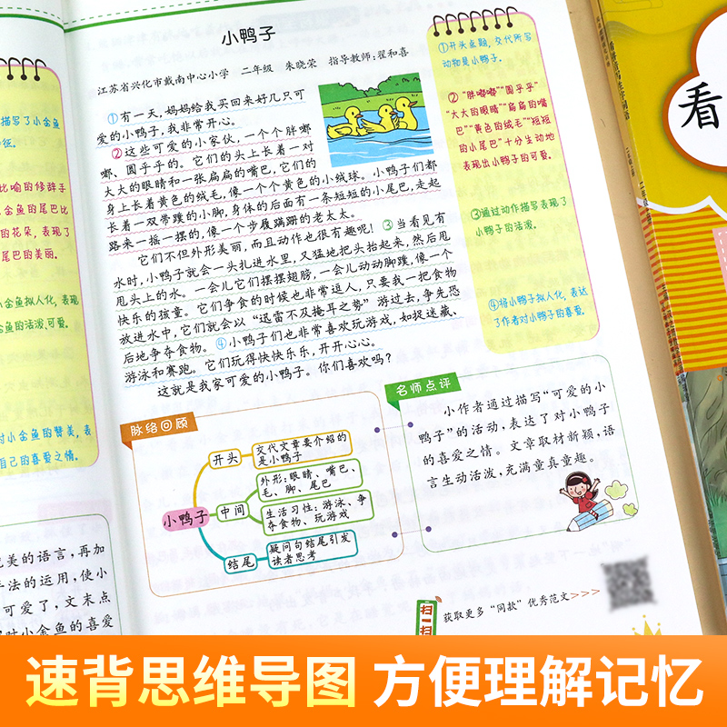 年级任选！看拼音写词语专项训练
