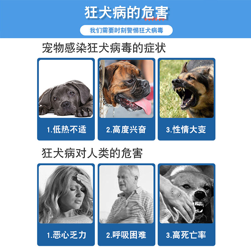 狂犬病试纸检测卡RBV 狂犬抗原猫咪宠物狗狗测试病毒试纸咬伤抓伤 - 图0